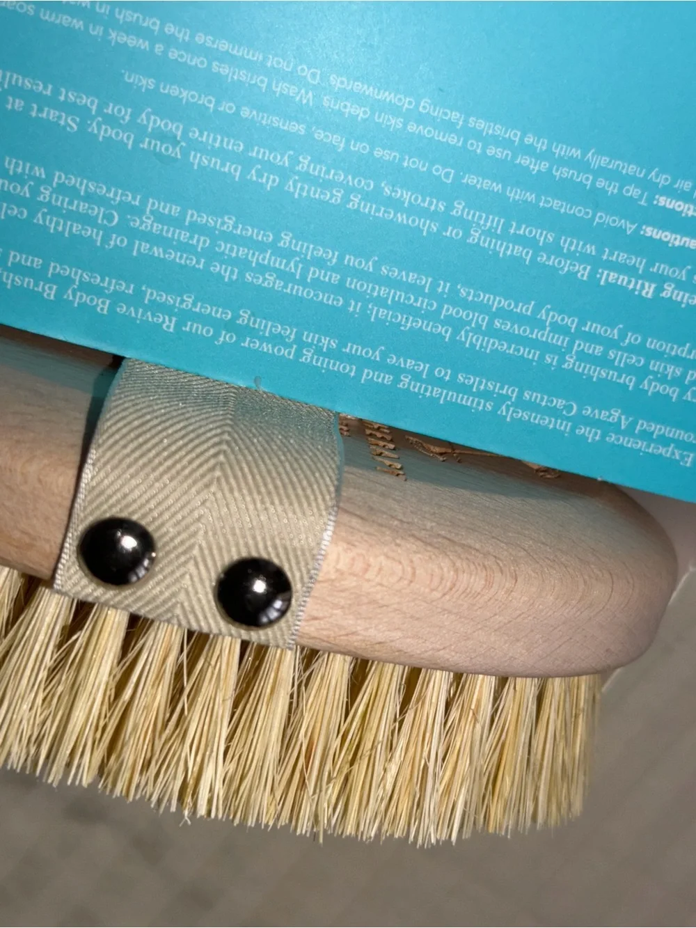 NWT Wooden Dry Brush - Cactus Bristles